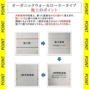 珪藻土 漆喰 リノベ DIY「初心者に親切な塗...の詳細画像2