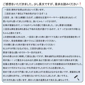 珪藻土 漆喰 リノベ DIY「初心者に親切な塗...の詳細画像3