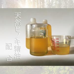 珪藻土 漆喰 リノベ DIY「初心者に親切な塗...の詳細画像4