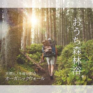 珪藻土 漆喰 リノベ DIY「初心者に親切な塗...の詳細画像5