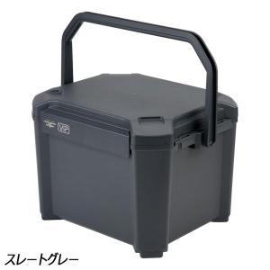JEJアステージ 即日出荷 クーラーボックス 12L COREFLUX VIP CFV-12G