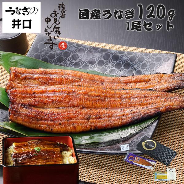 うなぎの井口 公式ストア うなぎ 蒲焼き 国産 ウナギ 鰻 蒲焼 大サイズ 120g ギフト プレゼ...