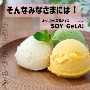 アイス アイスクリーム 業務用 無添加 有機J...の詳細画像2