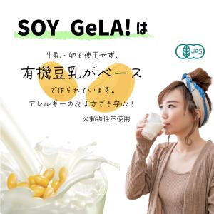 アイス アイスクリーム 業務用 無添加 有機J...の詳細画像3
