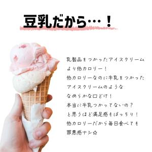 アイス アイスクリーム 業務用 無添加 有機J...の詳細画像4