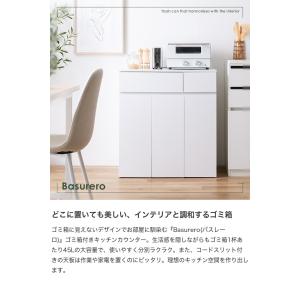 ゴミ箱 分別 45リットル 45L ダストボッ...の詳細画像1