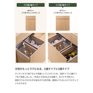 ゴミ箱 分別 45リットル 45L ダストボッ...の詳細画像2