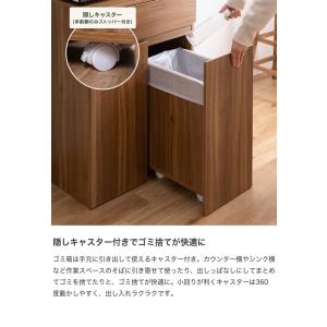 ゴミ箱 分別 45リットル 45L ダストボッ...の詳細画像3