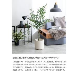 観葉植物 オリーブ フェイクグリーン 人工 室...の詳細画像1