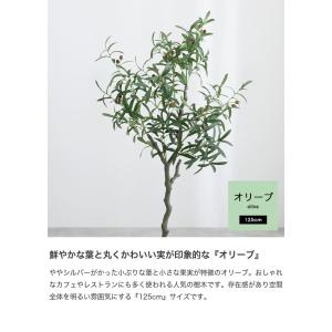 観葉植物 オリーブ フェイクグリーン 人工 室...の詳細画像3