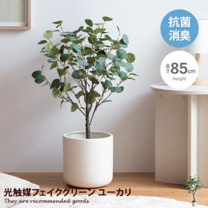 観葉植物 ユーカリ フェイクグリーン 人工 室内...の商品画像