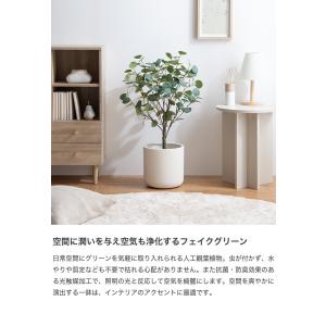 観葉植物 ユーカリ フェイクグリーン 人工 室...の詳細画像1