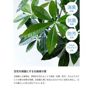 観葉植物 ユーカリ フェイクグリーン 人工 室...の詳細画像2
