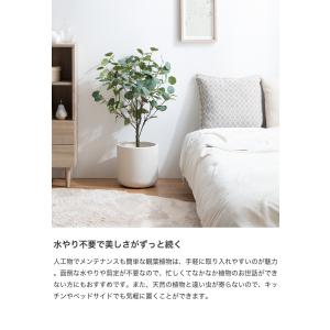 観葉植物 ユーカリ フェイクグリーン 人工 室...の詳細画像4