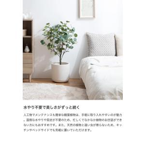 観葉植物 ユーカリ フェイクグリーン 人工 室...の詳細画像4