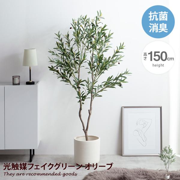 観葉植物 オリーブ フェイクグリーン 人工 室内 リビング オフィス 一人暮らし 緑 光触媒 空気清...