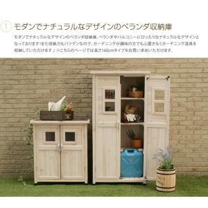 ベランダ収納庫 ベランダ 収納庫 収納 物置 ...の詳細画像1