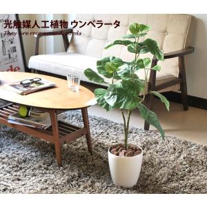 観葉植物 光触媒 造花 ウンベラータ グリーン ...の商品画像