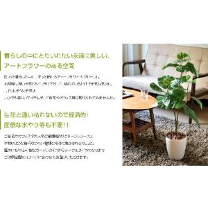 観葉植物 光触媒 造花 ウンベラータ グリーン...の詳細画像1