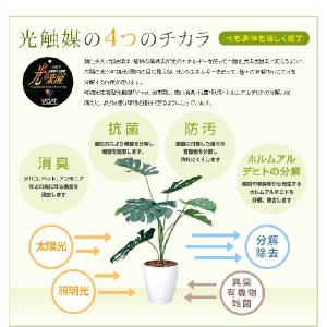 観葉植物 光触媒 造花 ウンベラータ グリーン...の詳細画像2