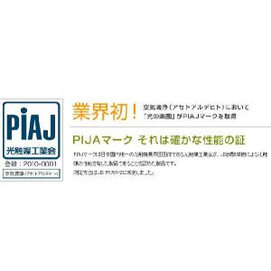 観葉植物 光触媒 造花 ウンベラータ グリーン...の詳細画像4