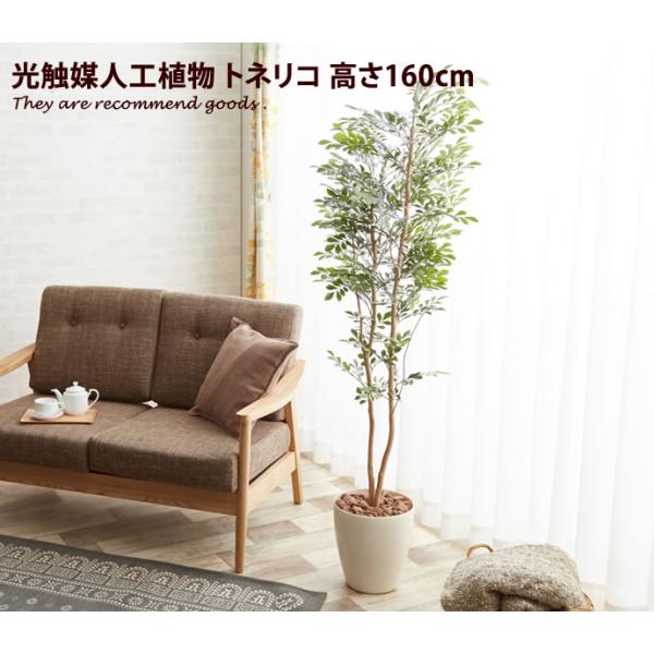 観葉植物 トネリコ toneriko tonerico 室内 イミテーショングリーン