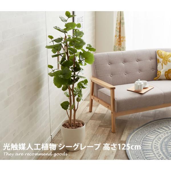 観葉植物 シーグレープ sea grape 室内 イミテーショングリーン