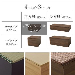 収納スツール 収納ベンチ 収納ボックス ユニッ...の詳細画像2