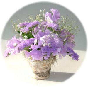 新鮮なお花シリーズ　パープルランド 2,500円アレンジ