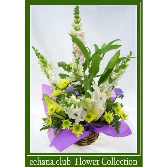 お供え・お悔やみに贈る花　フラワーアレンジ 雅  3,500円 今だけ 送料無料 翌日配達　喪中はが...