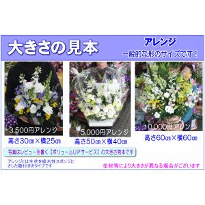 お供え・お悔やみに贈る花 フラワーアレンジ 桂...の詳細画像3