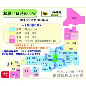 お供え・お悔やみに贈る花 フラワーアレンジ 桂...の詳細画像4