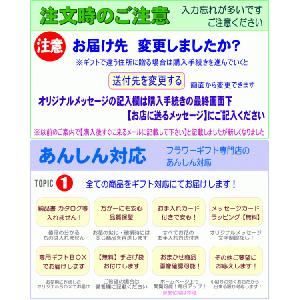 お供え・お悔やみに贈る花 フラワーアレンジ 桂...の詳細画像5
