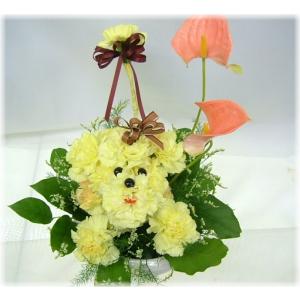 新鮮なお花シリーズ　結婚祝 出産祝　わんプードル4,000円 アレンジ