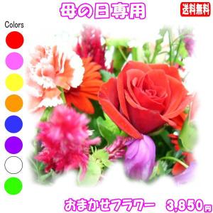 母の日 2025 花 ギフト デザイナーにおまかせフラワー3,850円