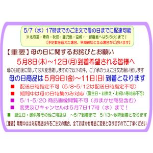 母の日 2025 花 ギフト デザイナーにおま...の詳細画像2
