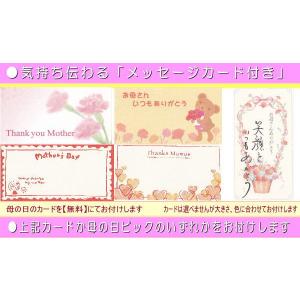 母の日 2025 花 ギフト デザイナーにおま...の詳細画像3