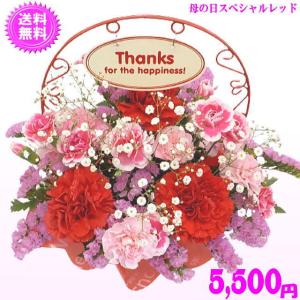 母の日 2026 花 ギフト 特割中! 豪華 ...の詳細画像1