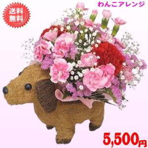 母の日 2026 花 ギフト 特割中！ 母の日わんこアレンジ5,500円 送料無料 配達日指定可能 カーネーション 母の日ギフト 50代 60代 70代 80代