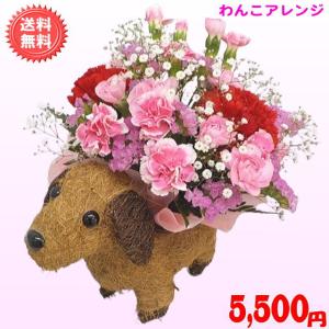 母の日 2026 花 ギフト 特割中! 母の日...の詳細画像1
