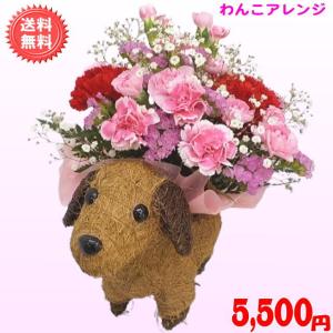 母の日 2026 花 ギフト 特割中! 母の日...の詳細画像2