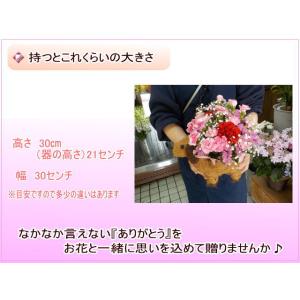 母の日 2026 花 ギフト 特割中! 母の日...の詳細画像3