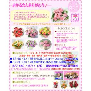 母の日 2026 花 ギフト 特割中! 母の日...の詳細画像4