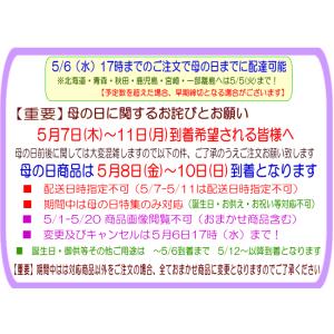 母の日 2026 花 ギフト 特割中! 母の日...の詳細画像5