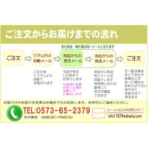 ひな祭りアレンジ 雅姫 5,000円 今だけ ...の詳細画像2