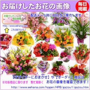花 ギフト 誕生日 土日祝も営業 ホステス・キ...の詳細画像3