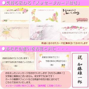 土日祝も営業 お祝い花専用フラワー3,500円...の詳細画像5
