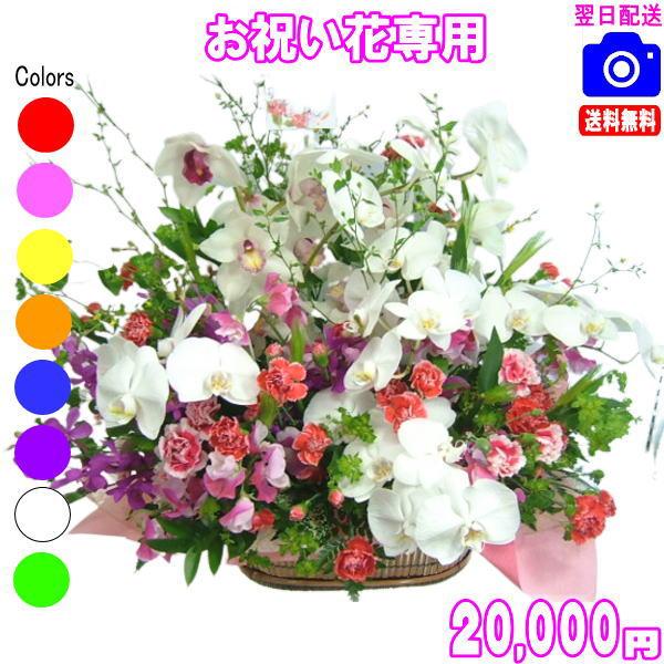土日祝も営業 お祝い花専用フラワー20,000円 送料無料 翌日配達 翌日配送対応 出産祝 結婚祝 ...