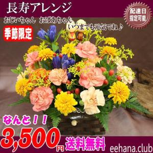 2024敬老の日 売れてます 人気の長寿アレンジが3,500円 送料無料｜eehana