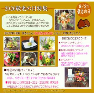 敬老の日専用デザイナーにおまかせフラワー20,...の詳細画像3